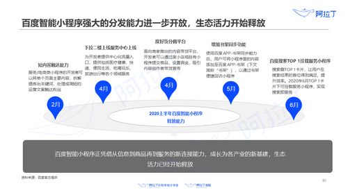 阿拉丁研究院 2020年上半年小程序互联网发展白皮书 
