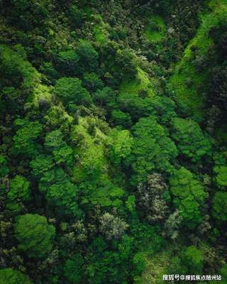 宁波潮起云悦府 鄞州理想居所，全方位解读项目详情
